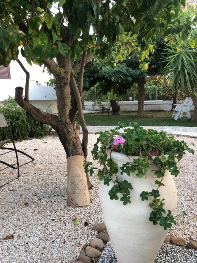 Il Gelso Nella Valle Agrigento Exterior photo